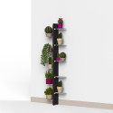 Portavasi piante design a parete da interno 10 scaffali Zia Flora WMH Catalogo