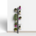 Portavasi piante design a parete da interno 10 scaffali Zia Flora WMH Scelta