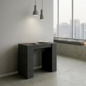 Ausziehbarer Konsolentisch 90x48-308cm modernes Design Tisch anthrazit Basic Report Sales
