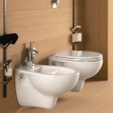 Asse copriwater sedile tavoletta bianco vaso WC bagno sanitari Geberit Colibrì Vendita