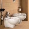 Asse copriwater sedile tavoletta bianco vaso WC bagno sanitari Geberit Colibrì Vendita