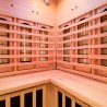 Apollon 2C infrarouge Sauna finlandais d'angle de 2 à 3 places Achat