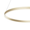 LED Pendelleuchte Ring Ø 80cm Rim Maytoni Angebot