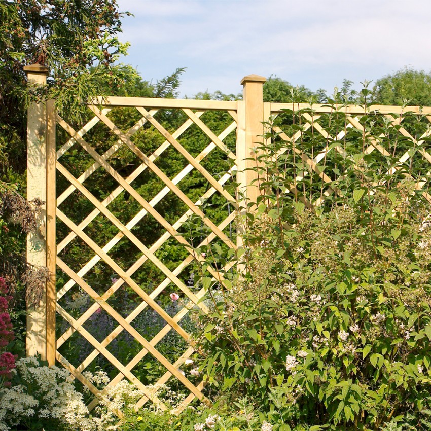 Treillis en bois 60x180 cm pour plantes grimpantes jardin terrasse Promotion Treillis en bois 60x180 cm pour plantes grimpantes jardin terrasse Promotion