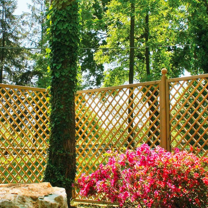 Gitterpaneel für Kletterpflanzen Garten Holz 90x180 cm Trendy Aktion Gitterpaneel für Kletterpflanzen Garten Holz 90x180 cm Trendy Aktion