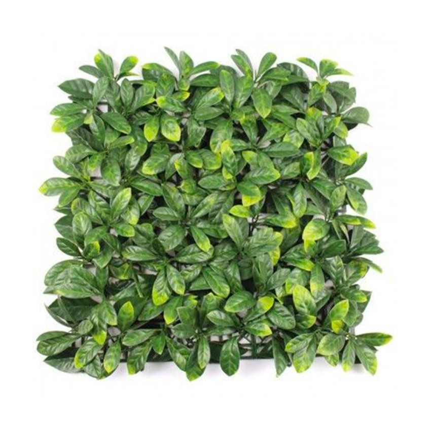 Gartenzaun künstliche Hecke Sichtschutz 4 Stück 50x50cm Lauro Ceraso Plus Aktion Gartenzaun künstliche Hecke Sichtschutz 4 Stück 50x50cm Lauro Ceraso Plus Aktion