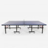 Tavolo ping pong 274x152,5cm interno esterno professionale Ace II scelta Offerta