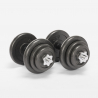 Set Bilanciere e Manubri da palestra 50kg con trolley Hercules XL II scelta Offerta