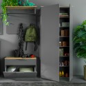 Armoire entrée 2 portes polyvalente design moderne en bois gris Konrad Offre