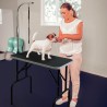 Table de toilettage pliante avec laisse pour chiens et chats Mastiff Remises