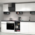 Cucina lineare completa 256cm design moderno componibile Domina 