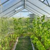 Serre de jardin aluminium polycarbonate 290x360-430-500x220h Sanus WL Choix