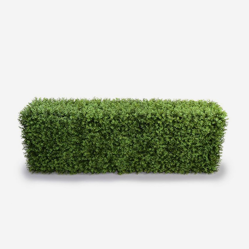 Siepe artificiale bosso da recinzione giardino bassa 158x33x56cm Robuk Promozione