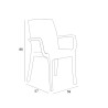Table extensible 160-220cm + 6 chaises de jardin blanc Liri Light 