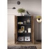 Armadio multiuso soggiorno ufficio 2 ante 2 scaffali 63x35x114cm Liara Caratteristiche