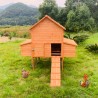 Pollaio casetta galline rialzato legno giardino conigliera 370x174x172 Hegg Saldi