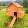Pollaio casetta galline rialzato legno giardino conigliera 370x174x172 Hegg Sconti