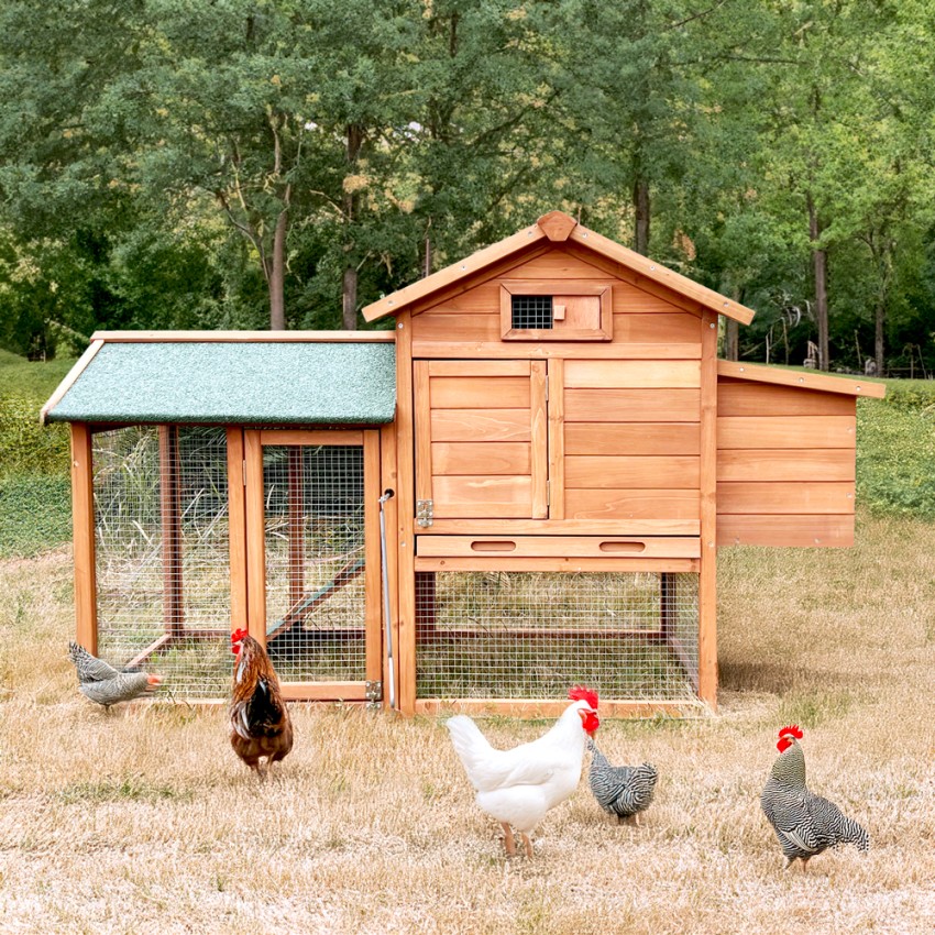 Pollaio in legno per galline conigliera da giardino esterno 152x62x92 Marf Promozione