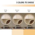 Miroir de salle de bain LED rond 70cm rétroéclairé cadre noir Laugarv L Réductions