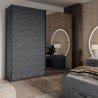 Armadio guardaroba ante scorrevoli specchio 220x61x210 rovere scuro Wamin Vendita