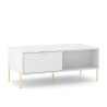 Table basse de salon à 2 portes de rangement blanc doré Oviedo Vente