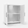 Mobile bagno sottolavabo armadietto 2 ante 2 ripiani moderno Biston 