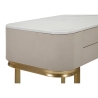 Consolle da ingresso con 2 cassetti e gambe dorate 70x40cm Beauty Modello