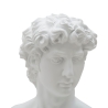 Scultura classica decorativa mezzobusto in poliresina h34cm Man Offerta