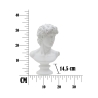Scultura classica decorativa mezzobusto in poliresina h34cm Man Stock