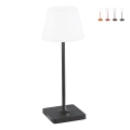 Lampada da tavolo LED interno esterno portatile ricaricabile USB Adam Promozione