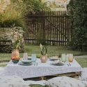 Pianta Sansevieria in vaso di vetro per interno Paola Rolando Hope Saldi
