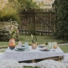 Pianta Sansevieria in vaso di vetro per interno Paola Rolando Hope Saldi