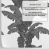 Papier peint urban jungle plantes blanc et gris Palmes Exotiques Offre