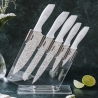 Ensemble de 5 couteaux de cuisine en acier inoxydable avec bloc transparent Stonewhite Vente
