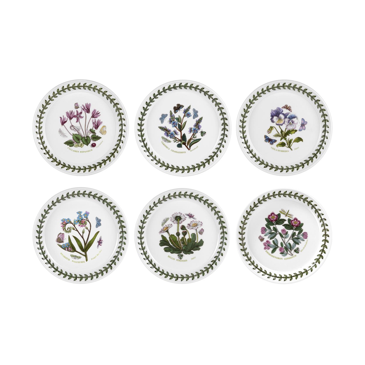 Set aus 6 Brottellern aus Porzellan 16,5 cm Botanic Garden Aktion Set aus 6 Brottellern aus Porzellan 16,5 cm Botanic Garden Aktion