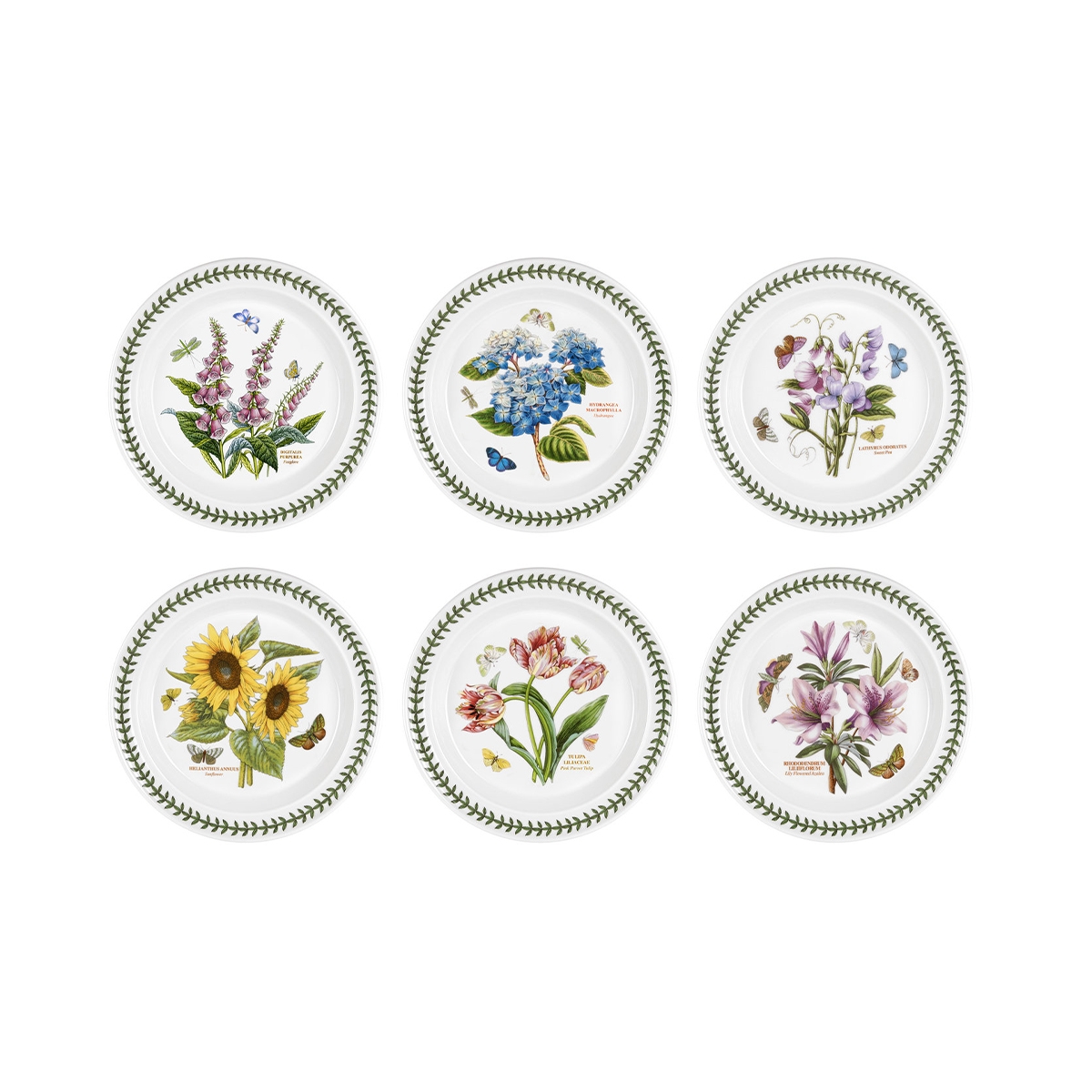 Ensemble de 6 assiettes en porcelaine 25 cm Portmeirion Botanic Garden Promotion Ensemble de 6 assiettes en porcelaine 25 cm Portmeirion Botanic Garden Promotion