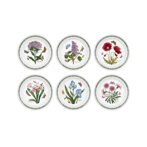 Set di 6 piatti piani 20 cm in porcellana Portmeirion Botanic Garden Promozione