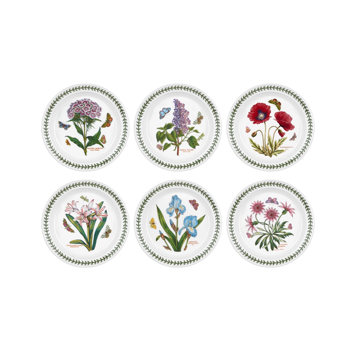 Set di 6 piatti piani 20 cm in porcellana Portmeirion Botanic Garden Promozione Set di 6 piatti piani 20 cm in porcellana Portmeirion Botanic Garden Promozione