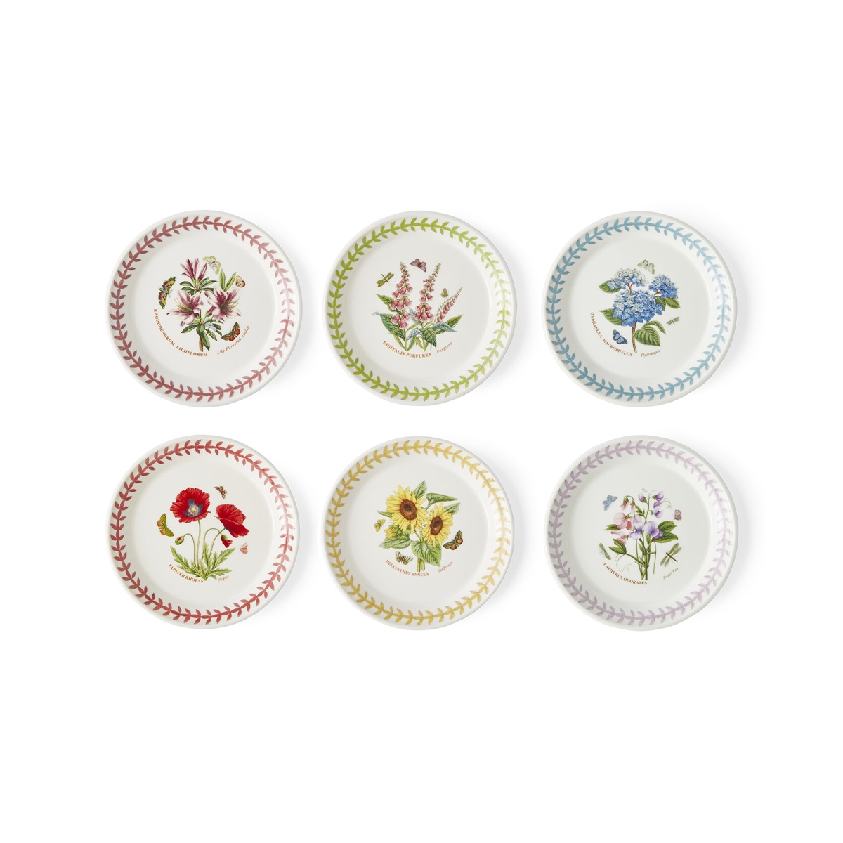 Set di 6 piatti da pane 15,3 cm Portmeirion Botanic Garden Meadow Promozione Set di 6 piatti da pane 15,3 cm Portmeirion Botanic Garden Meadow Promozione