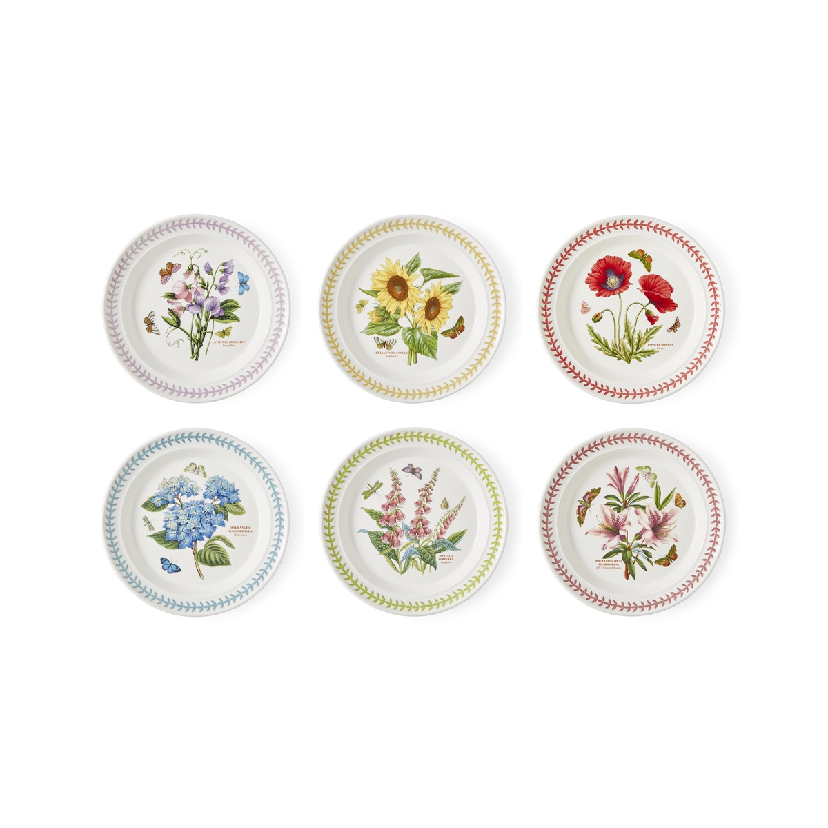 Set di 6 piatti piani 26,7 cm Portmeirion Botanic Garden Meadow Promozione Set di 6 piatti piani 26,7 cm Portmeirion Botanic Garden Meadow Promozione