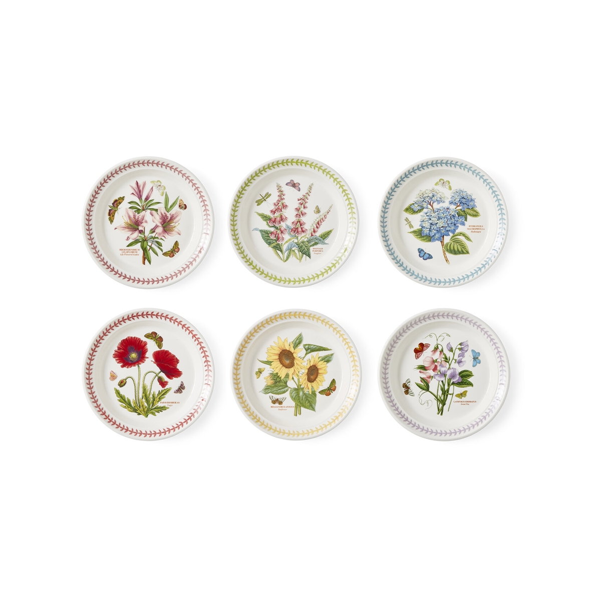 Set di 6 piatti piccoli 21,5 cm Portmeirion Botanic Garden Meadow Promozione Set di 6 piatti piccoli 21,5 cm Portmeirion Botanic Garden Meadow Promozione