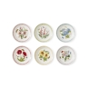 Set di 6 piatti piccoli 21,5 cm Portmeirion Botanic Garden Meadow Promozione