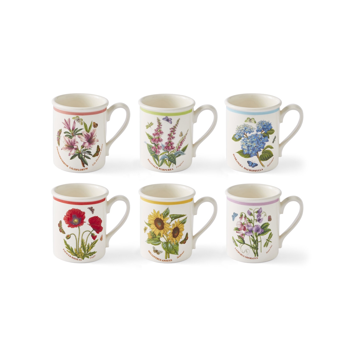 Set di 6 tazze da colazione 260 ml Portmeirion Botanic Garden Meadow Promozione Set di 6 tazze da colazione 260 ml Portmeirion Botanic Garden Meadow Promozione