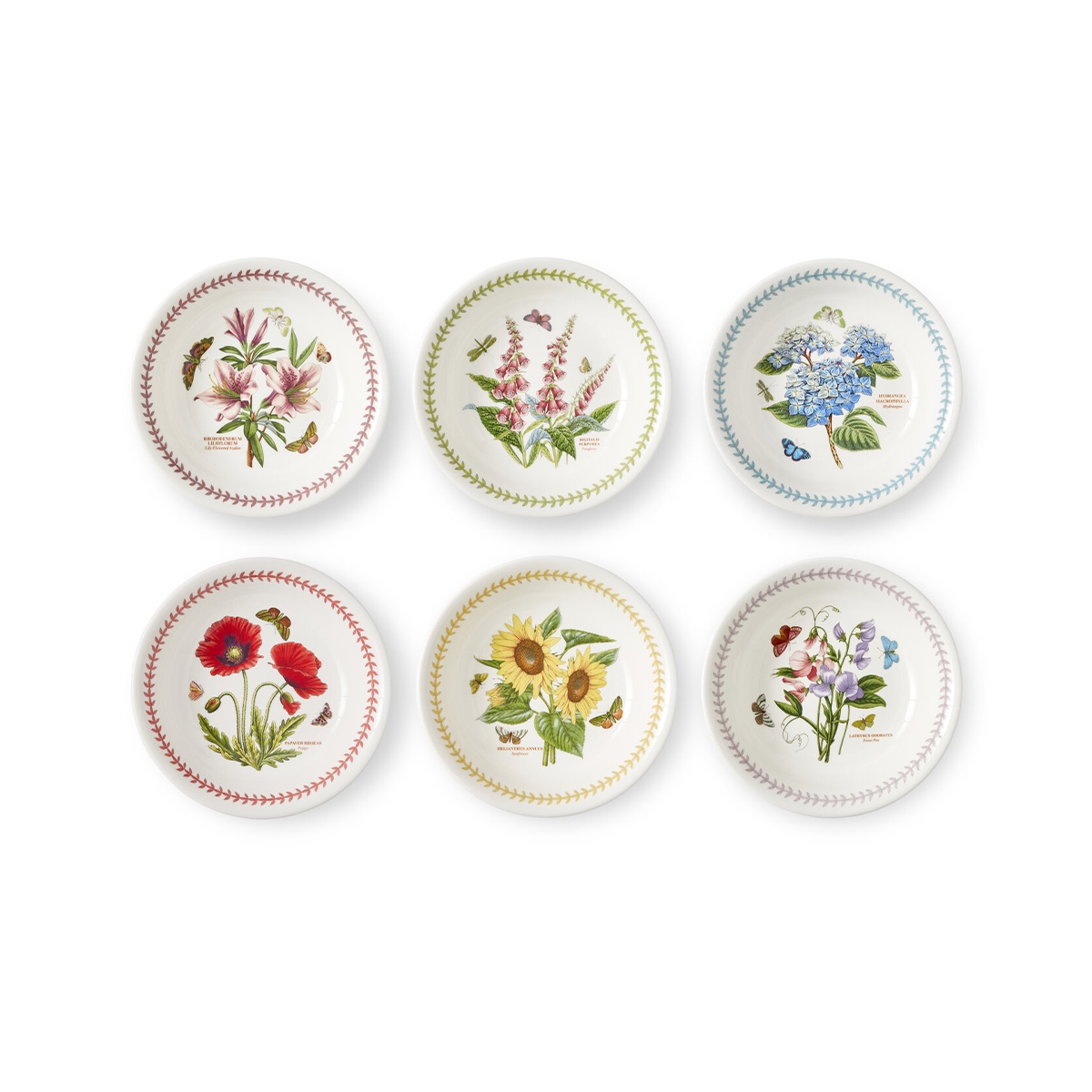 Set di 6 piatti fondi 22cm in porcellana Portmeirion Botanic Garden Meadow Promozione Set di 6 piatti fondi 22cm in porcellana Portmeirion Botanic Garden Meadow Promozione