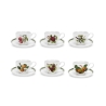 Set di 6 tazze da tè con piattino in porcellana Portmeirion Pomona Promozione