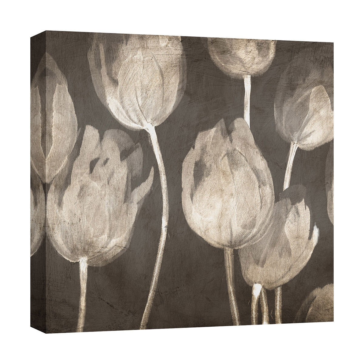 Tableau moderne impression sur toile tulipes Washed Tulips I Luca Villa Promotion Tableau moderne impression sur toile tulipes Washed Tulips I Luca Villa Promotion