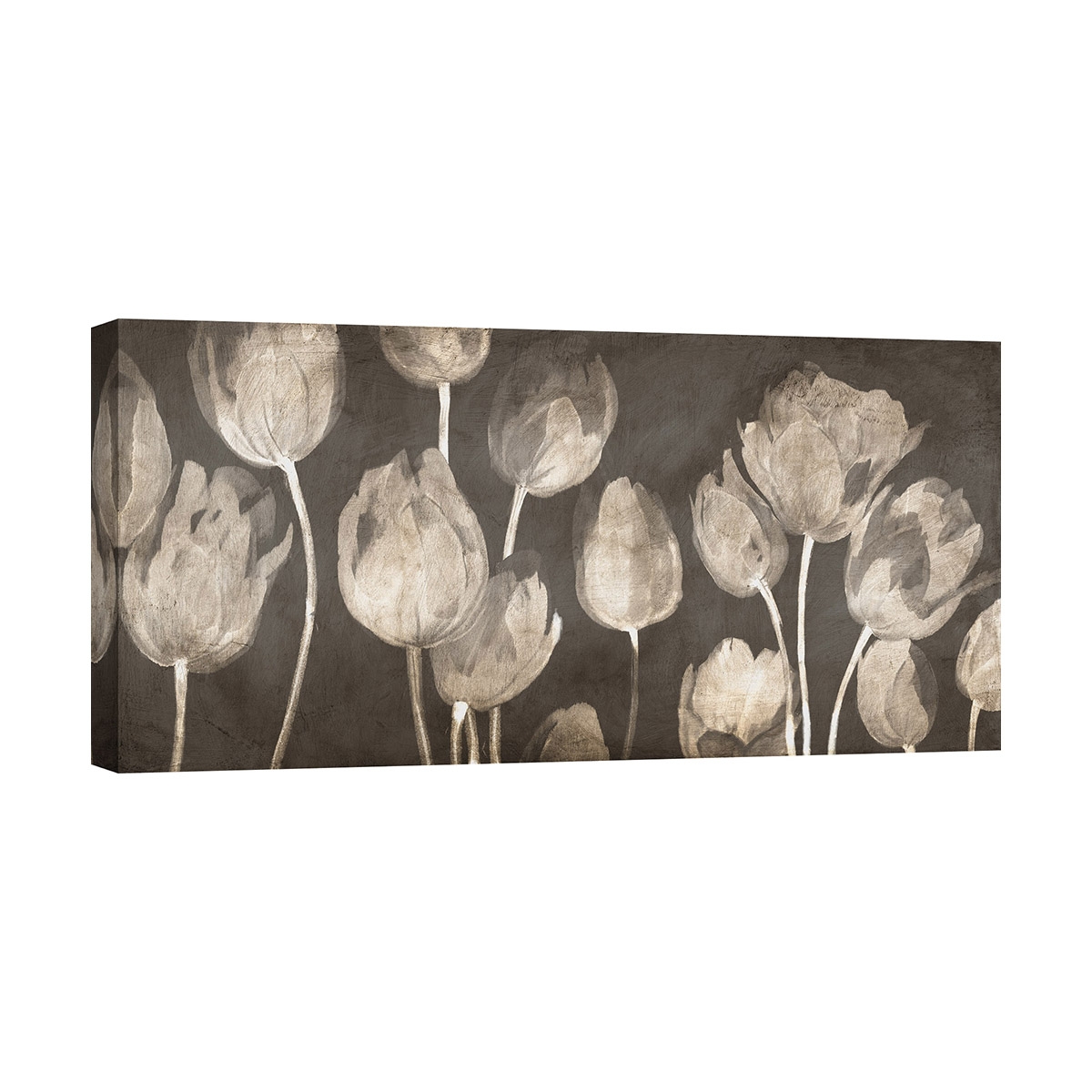 Quadro tulipani stampa moderna su tela Washed Tulips Luca Villa Promozione Quadro tulipani stampa moderna su tela Washed Tulips Luca Villa Promozione