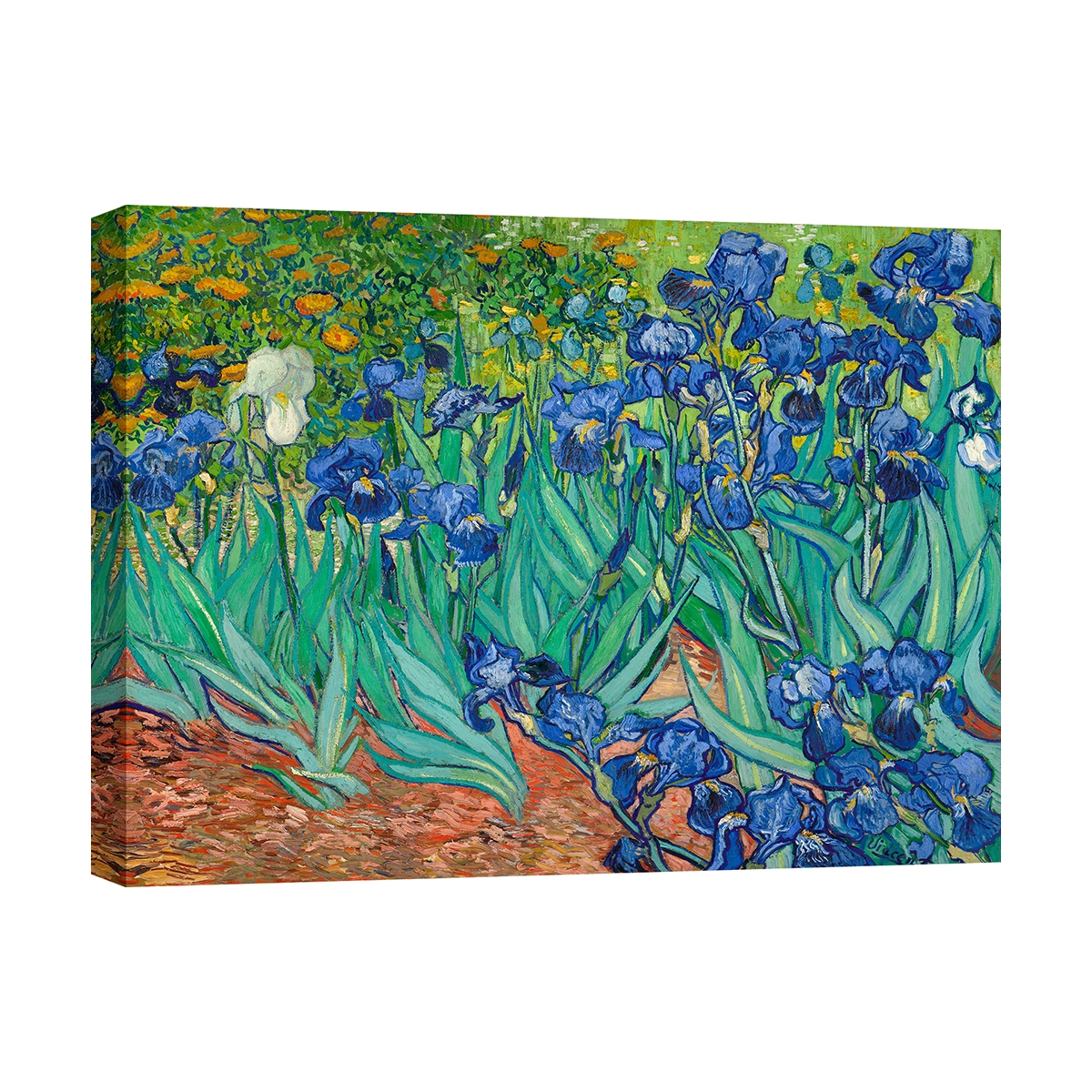Stampa su tela canvas quadro impressionista Iris Vincent van Gogh Promozione Stampa su tela canvas quadro impressionista Iris Vincent van Gogh Promozione