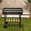 Holzkohlegrill mit höhenverstellbaren Grillrosten und Rädern Braska Angebot