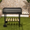 Holzkohlegrill mit höhenverstellbaren Grillrosten und Rädern Braska Angebot